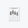 California Forests Poster Print - Black & White