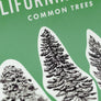 California Forests Poster Print - Green