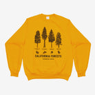 California Forests Trees Sweater - Crew Neck - Common Trees - Upper Park Clothing
