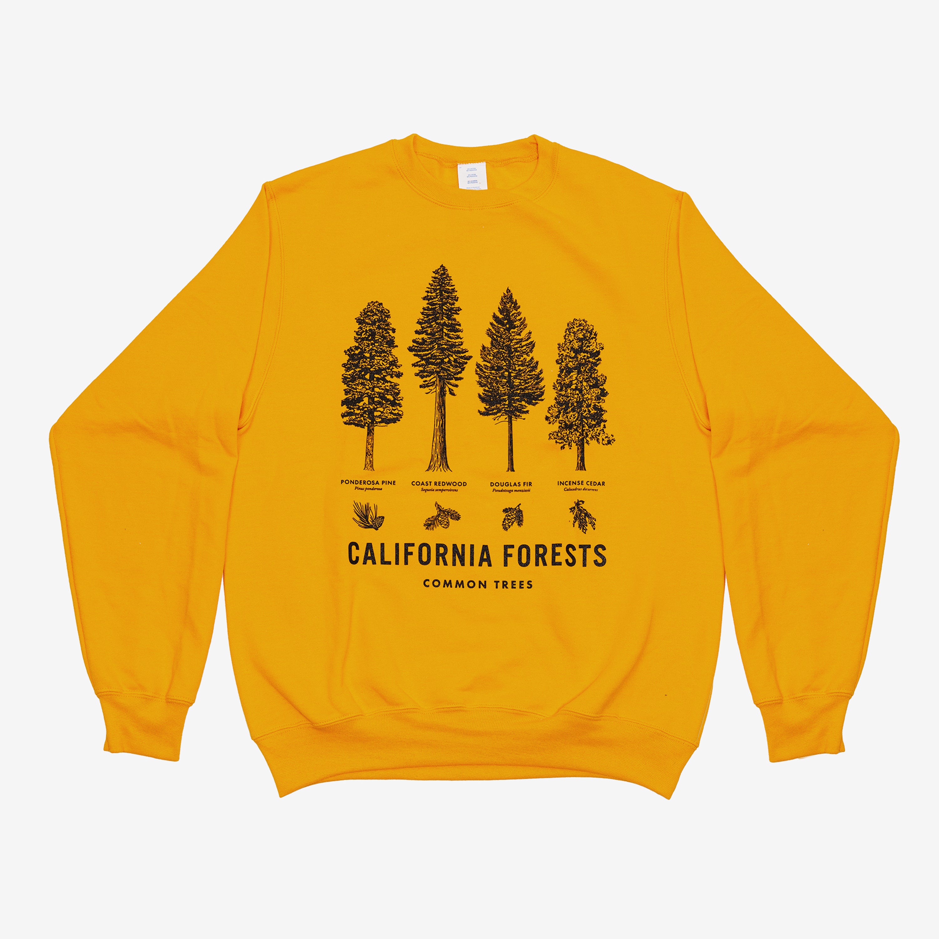 California Forests Trees Sweater - Crew Neck - Common Trees - Upper Park Clothing