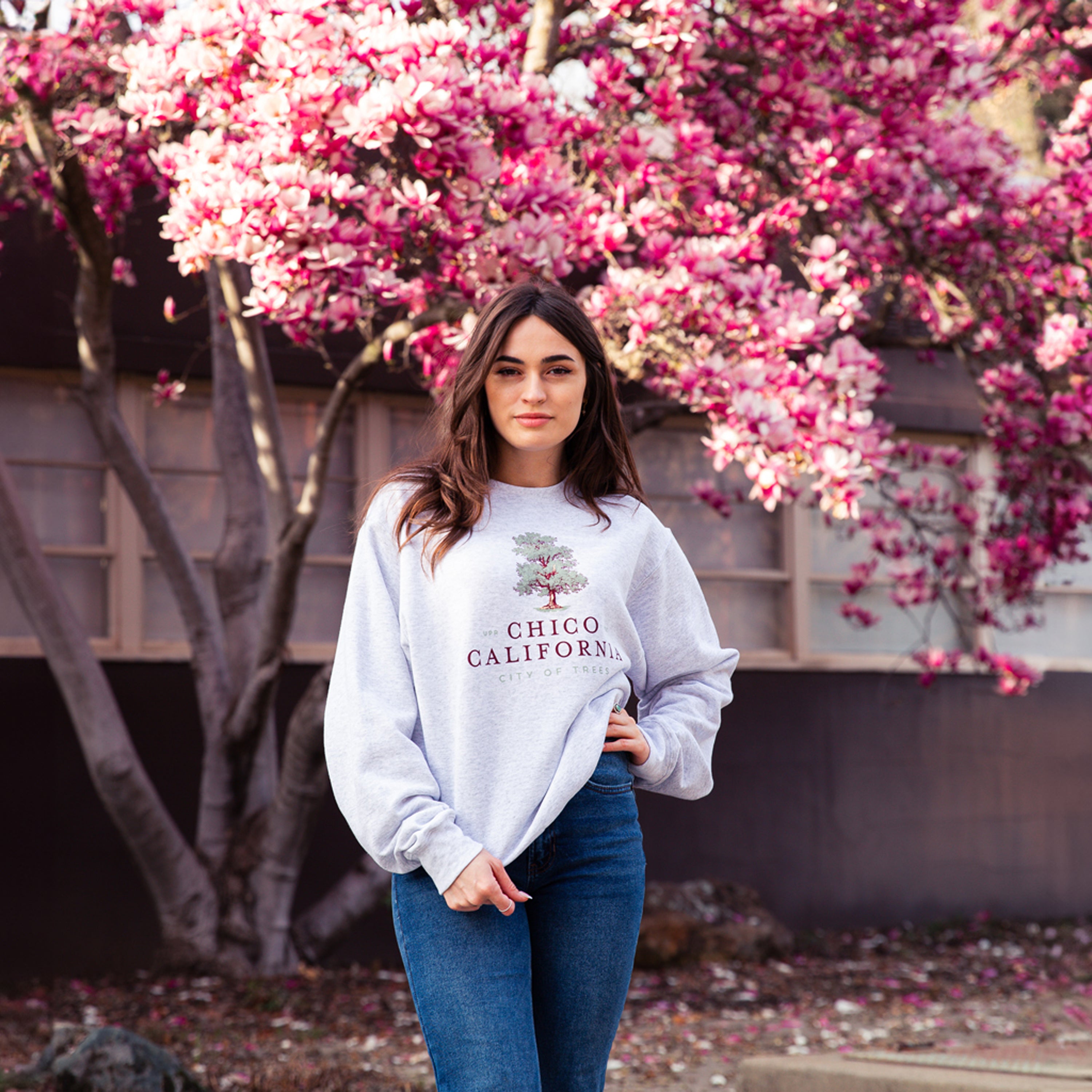 Chico California City of Trees Sweater - Crew Neck - Upper Park Clothing - Chico Collection
