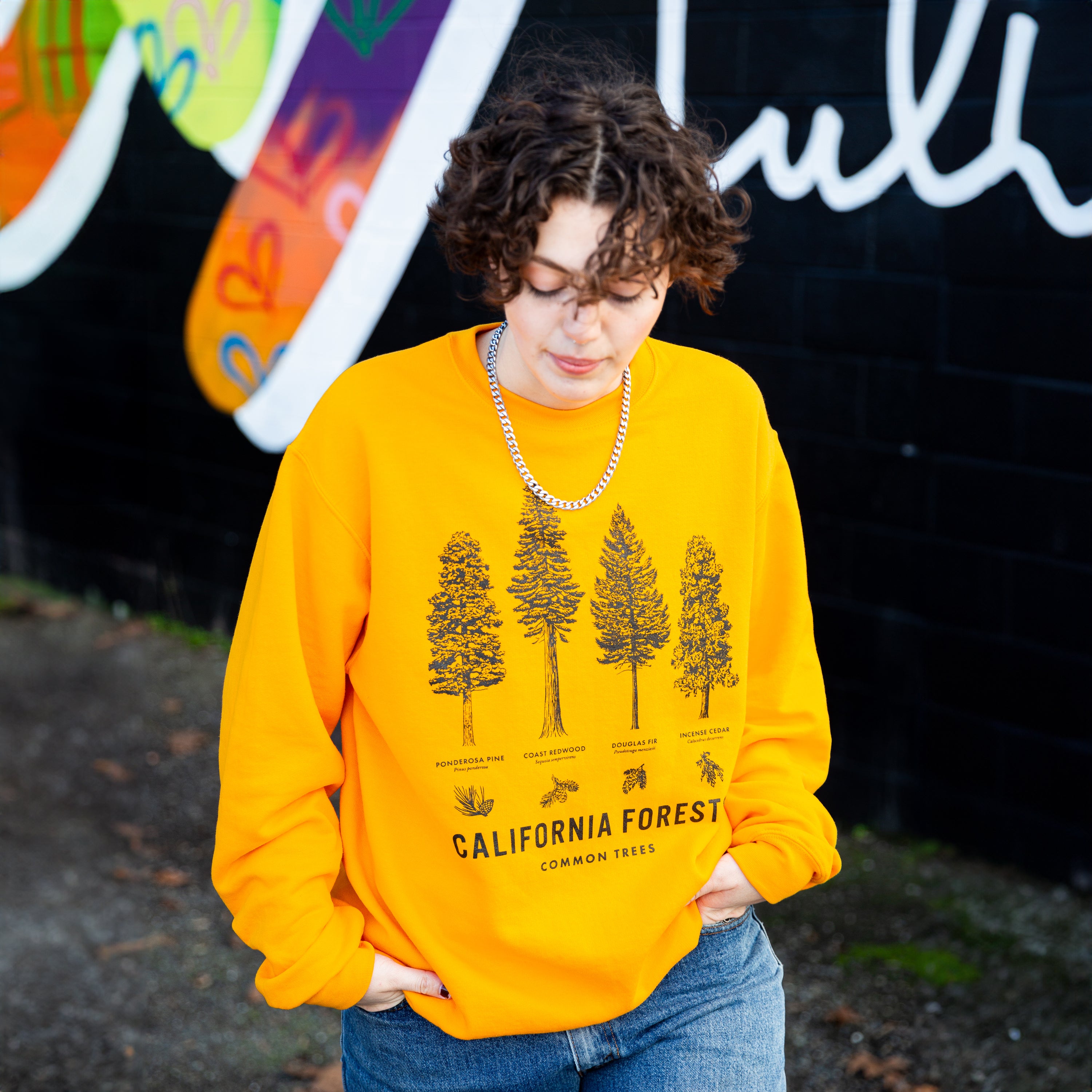 California Forests Trees Sweater - Crew Neck - Common Trees - Upper Park Clothing