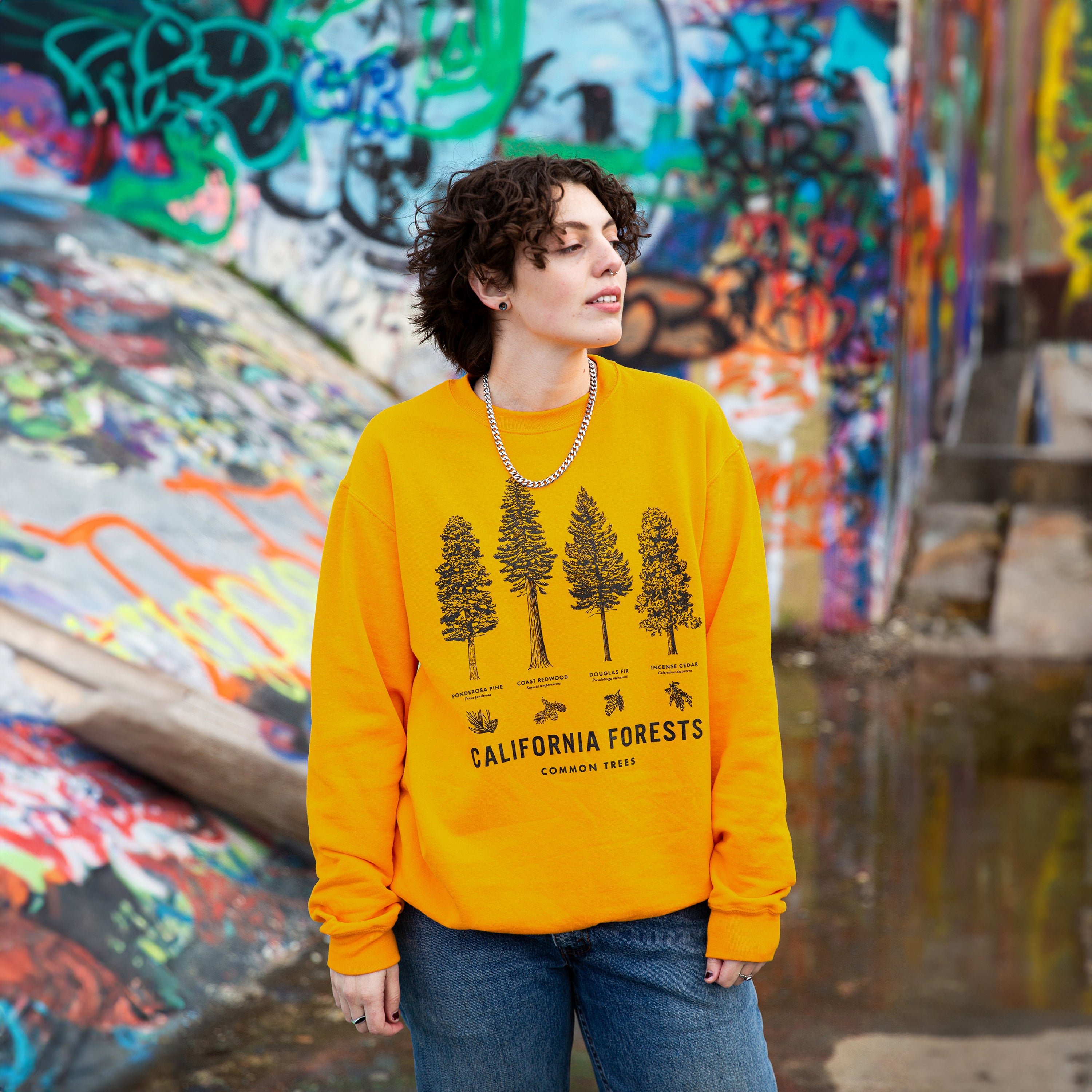 California Forests Trees Sweater - Crew Neck - Common Trees - Upper Park Clothing
