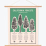 California Forests Poster Print - Green