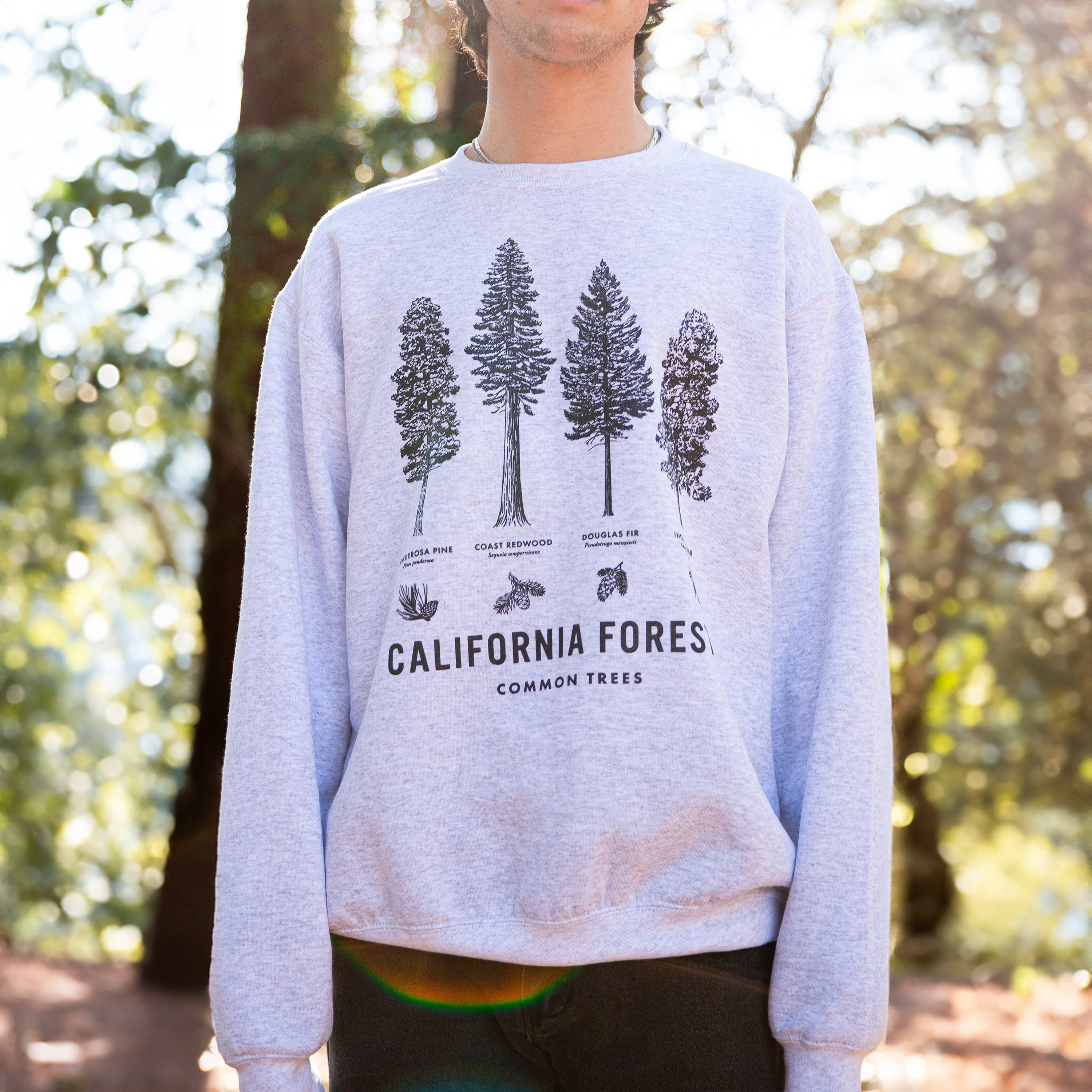 California Forests Trees Sweater - Crew Neck - Common Trees - Upper Park Clothing