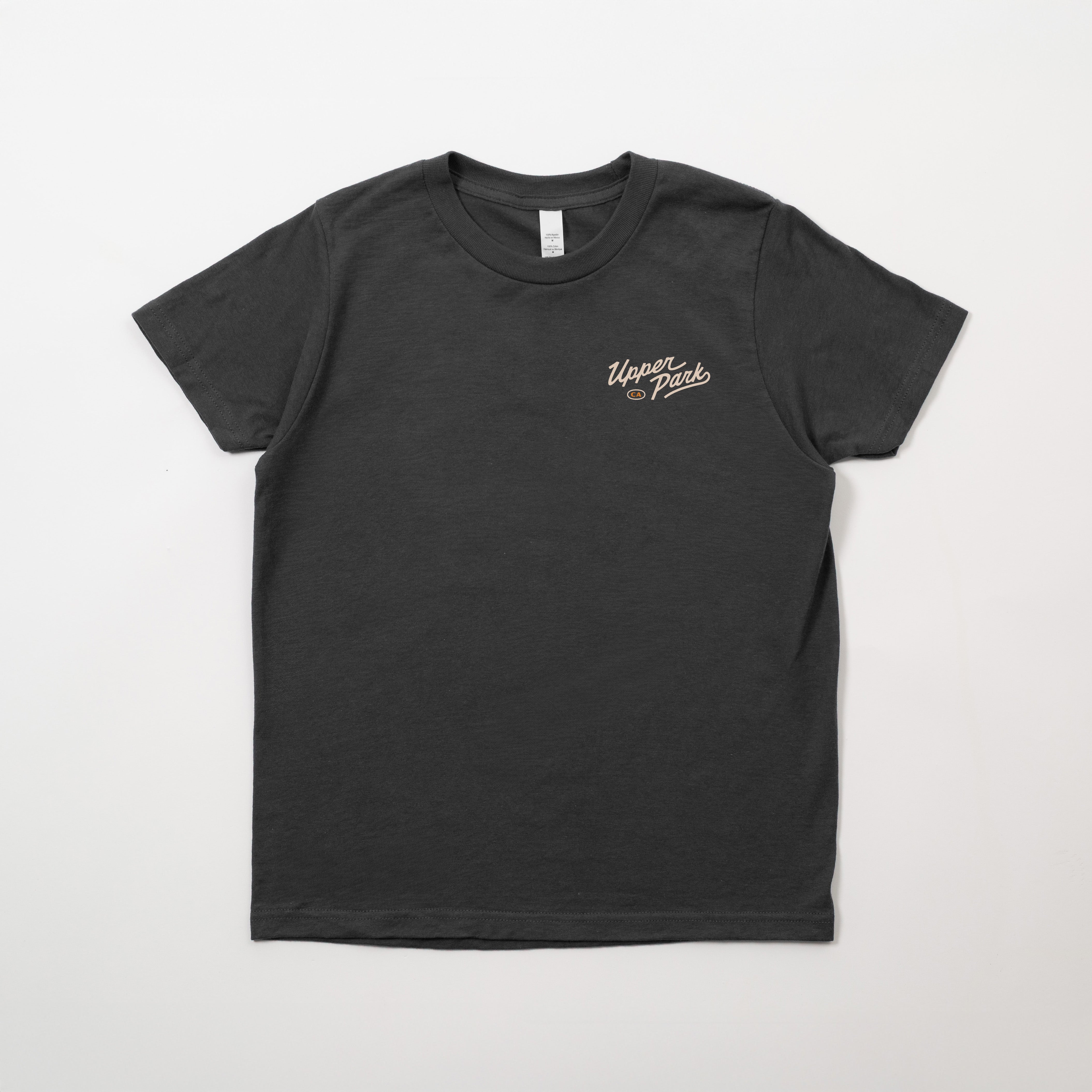 Black t-shirt with a logo on the chest against a white background - Mountain Lion Youth Shirt