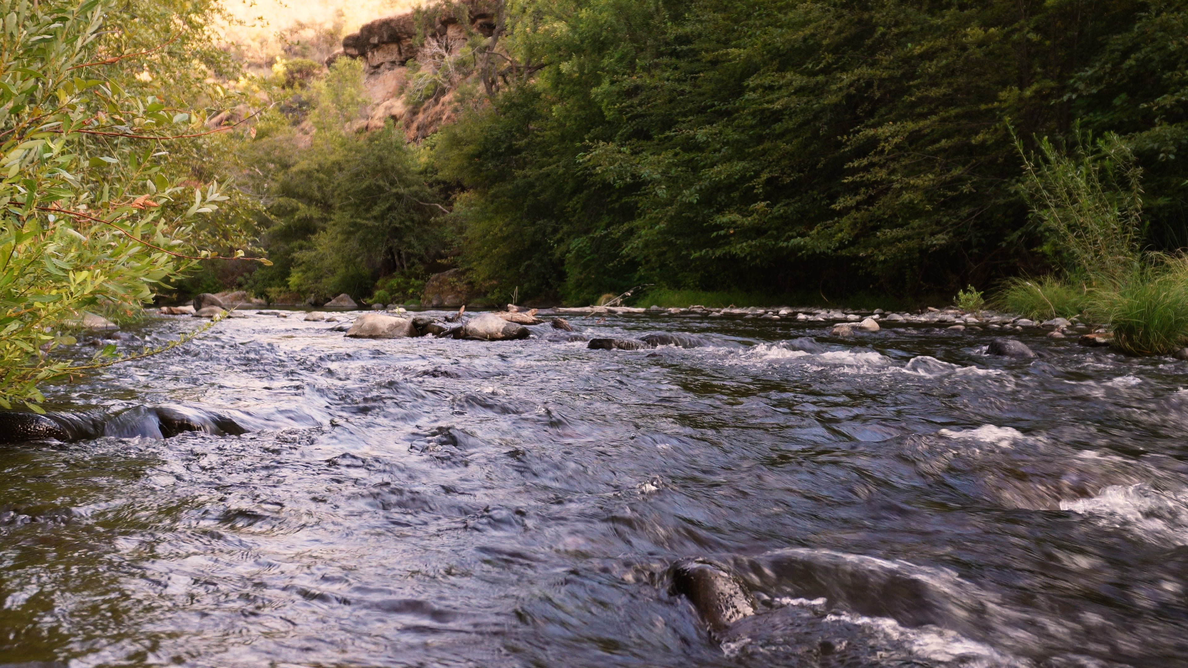 The Relaxing Creek Water Sounds of Big Chico Creek