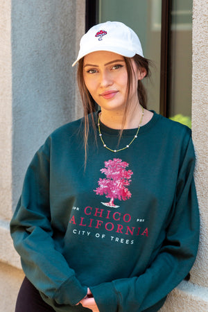 women standing next to Hotel Diamond in Downtown Chico wearing a Chico City of Trees Thrifty Crew Neck Sweater and a Amanita Mushroom hat from Upper Park Clothing