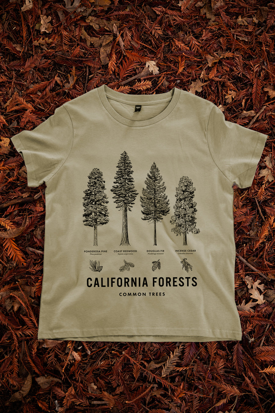 California Forests Routine Tee