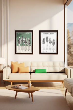 California Forests Poster Print - Green