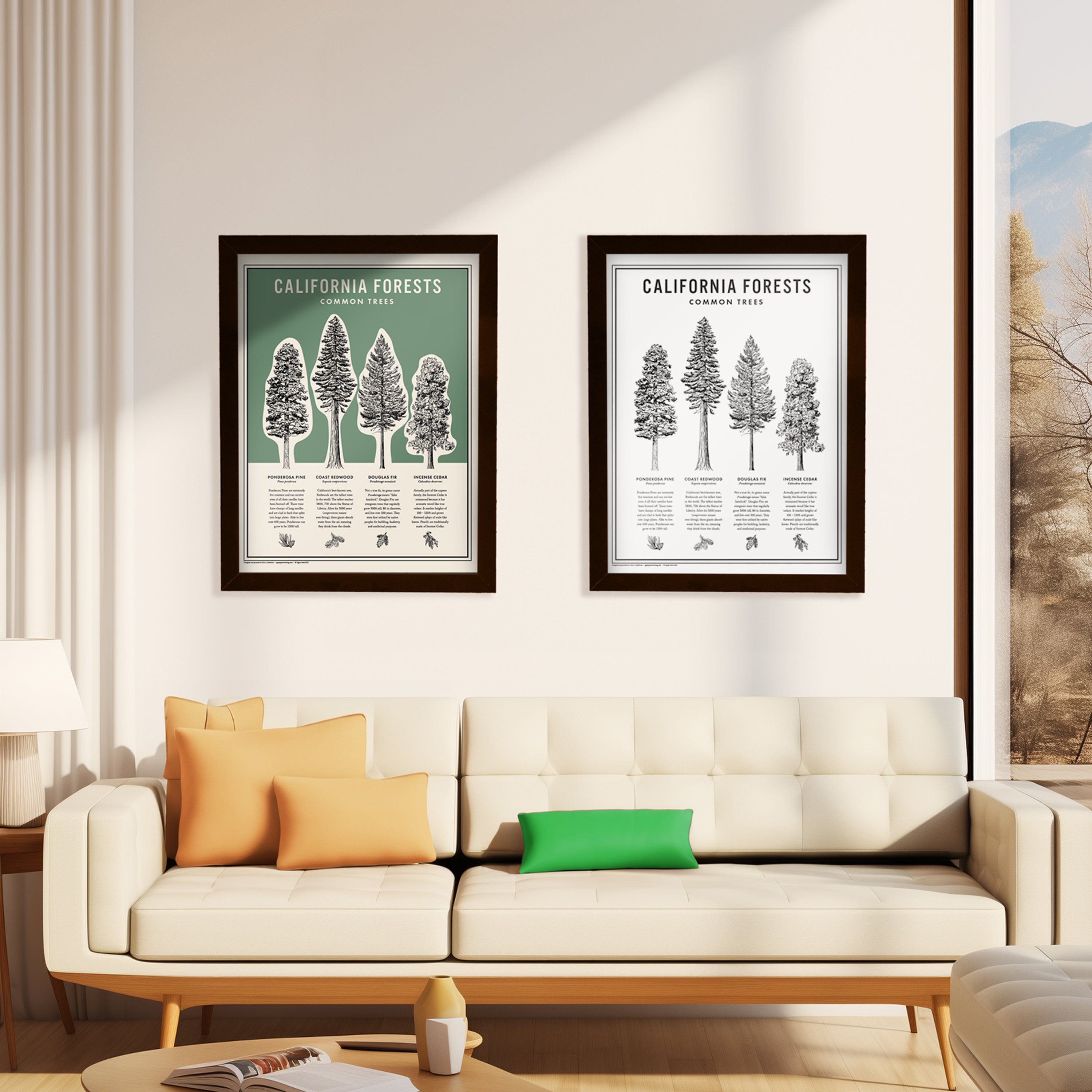 Two California Forests Posters on a wall - Upper Park Clothing in Chico, Ca