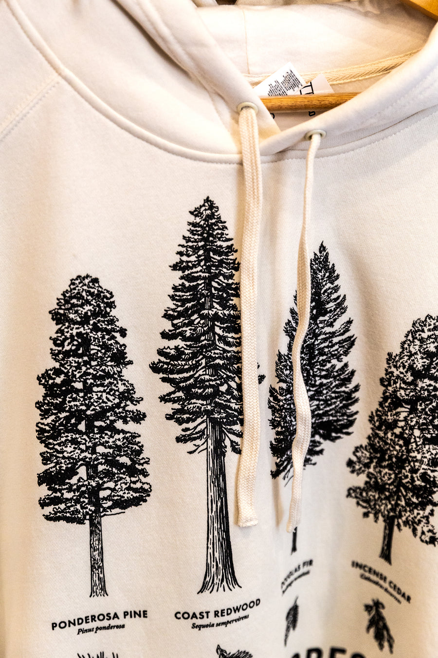 California Forests Supply Hoodie
