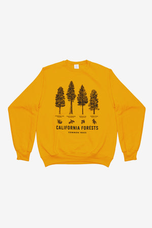 California Forests Thrifty Crew