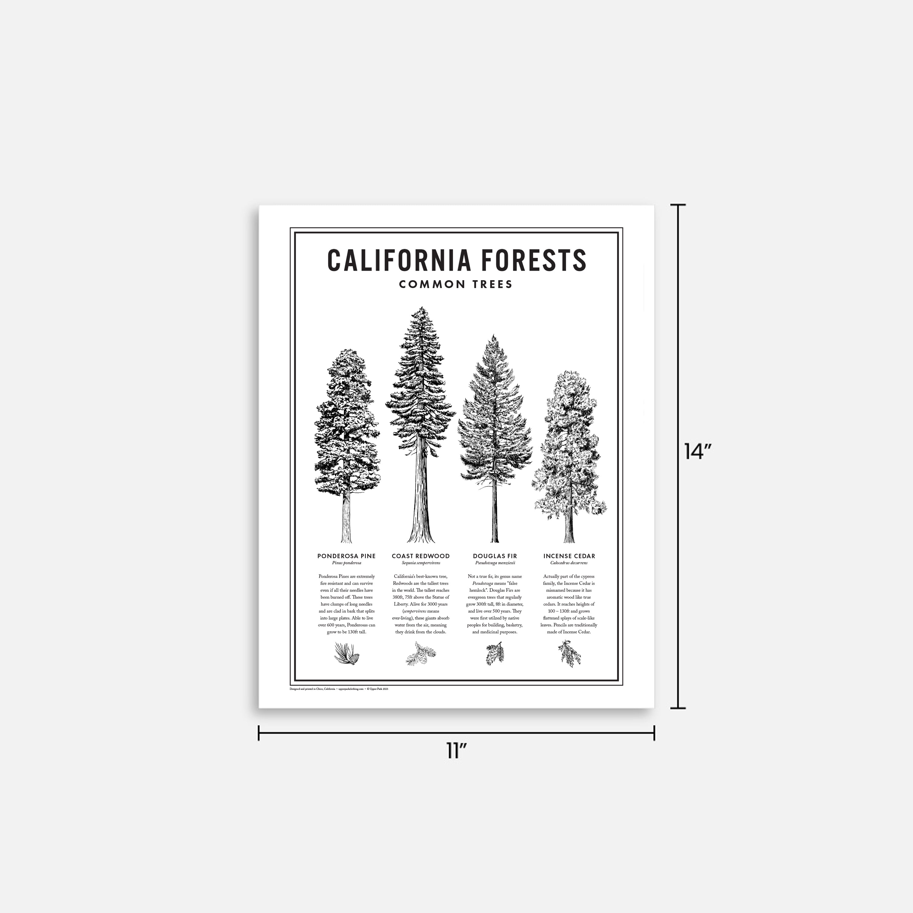 11x14 California Forests Poster in black and white with dimensions from Upper Park Clothing in Chico, Ca