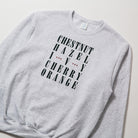 Chico Streets Crew Neck Sweater - Upper Park Clothing - Chico, CA Collection