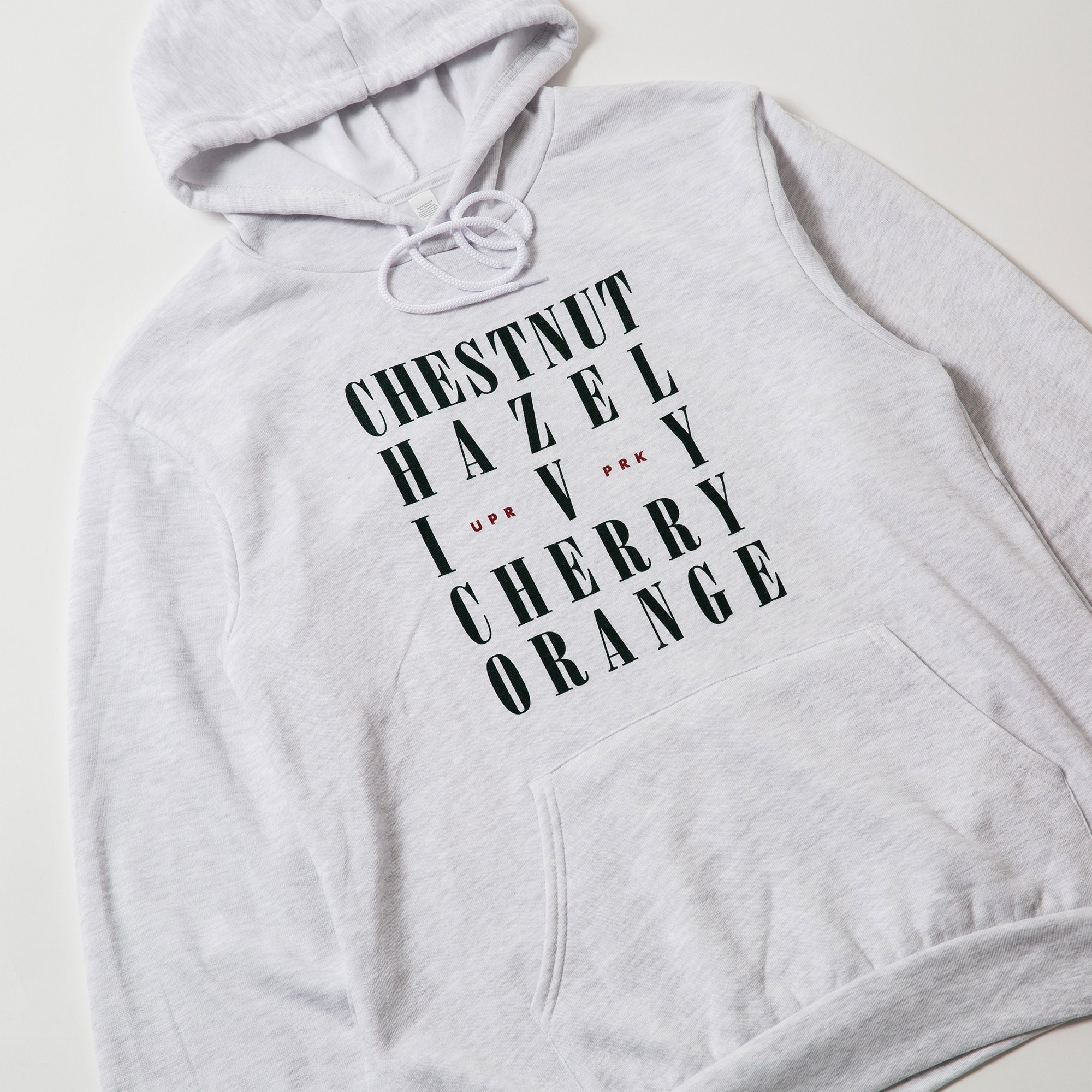 Chico Streets Hoodie Sweatshirt - Upper Park Clothing - Chico, CA Collection