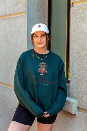 women leaning against a window at Hotel Diamond in Downtown Chico California wearing a Chico City of Trees Thrifty Crew from Upper Park Clothing