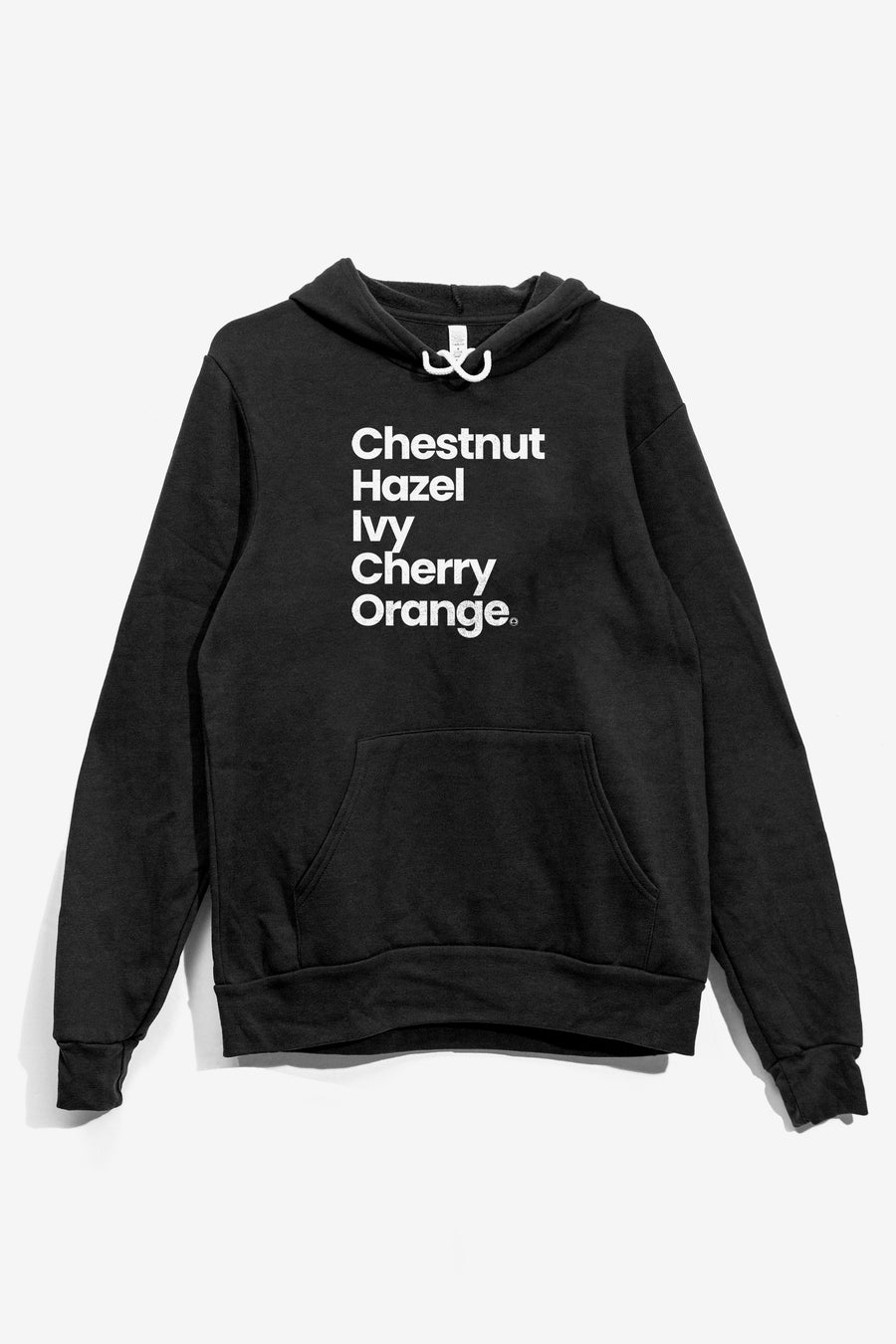 Downtown Chico Streets Hoodie