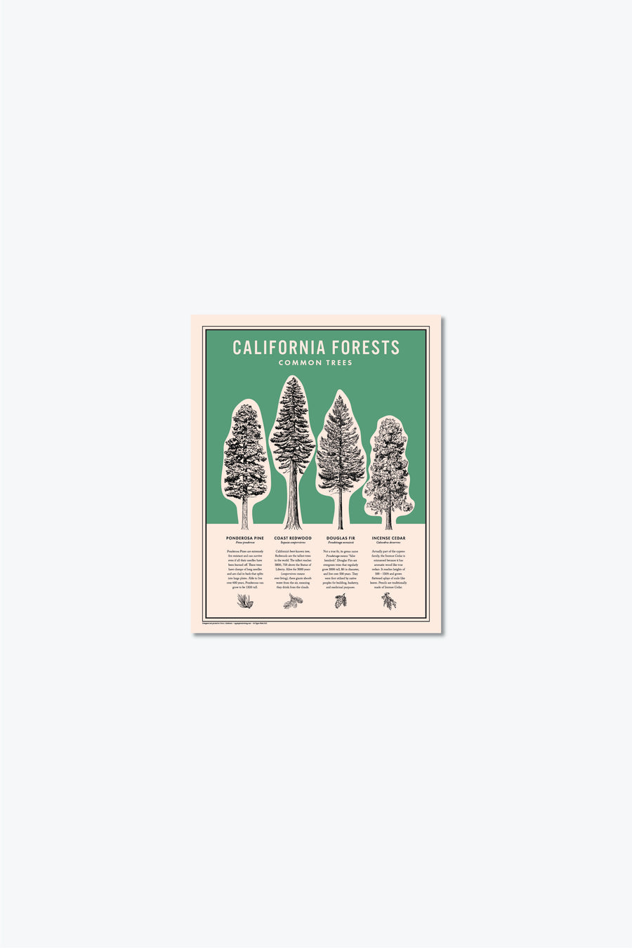 California Forests Poster Print - Green