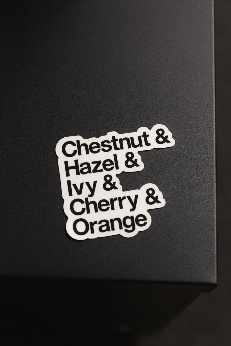 Helvetica Chico Streets Magnet