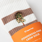 Ponderosa Pine Tree Socks  Embroidery and Packaging Detail