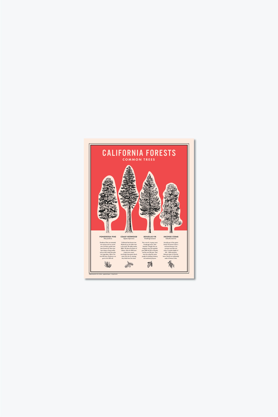 California Forests Poster Print - Red