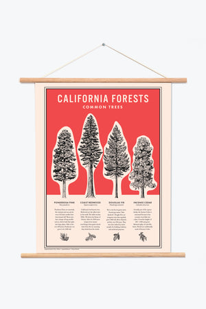 California Forests Poster Print - Red