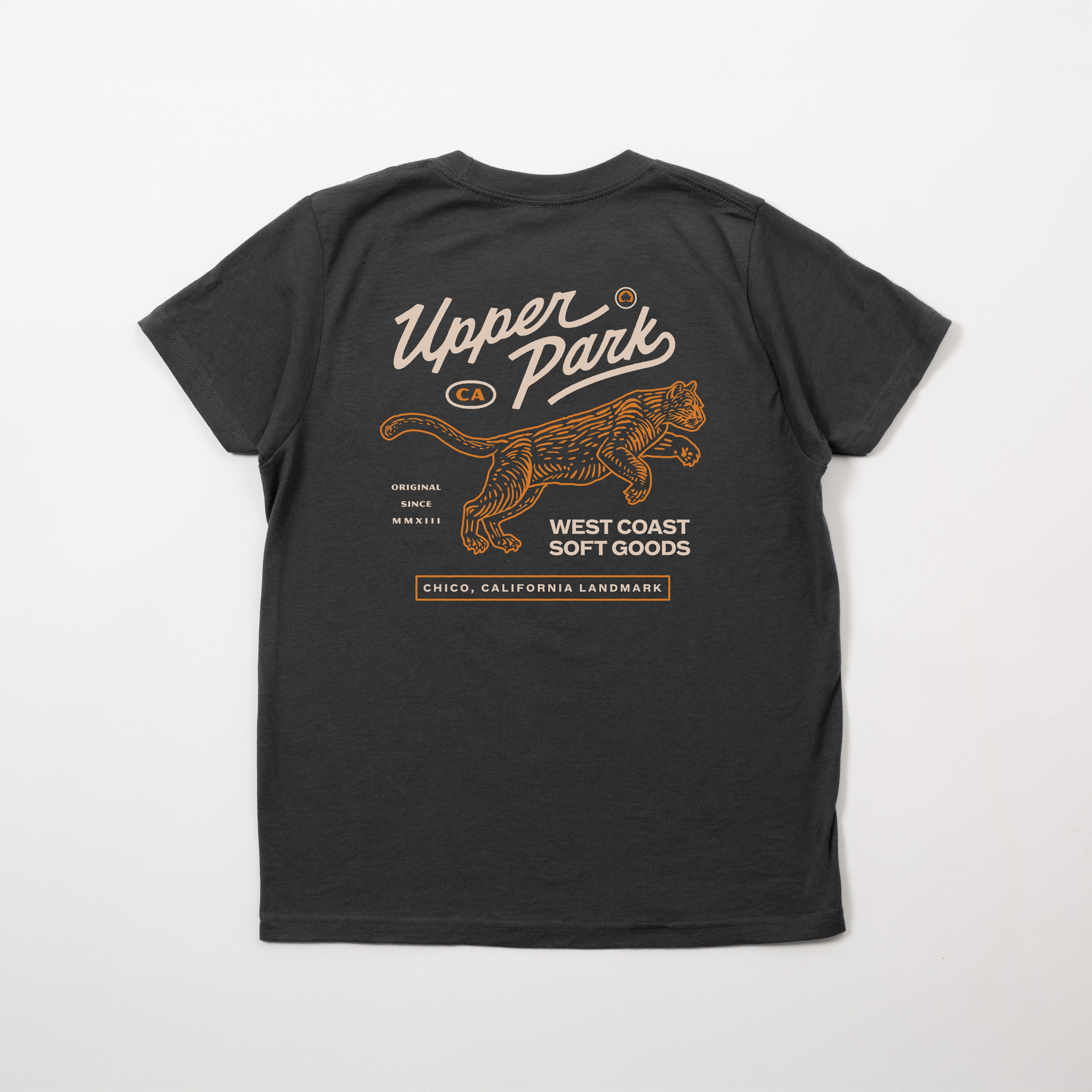 Black t-shirt with 'Upper Park' logo and lion design on a white background - Mountain Lion Youth Shirt