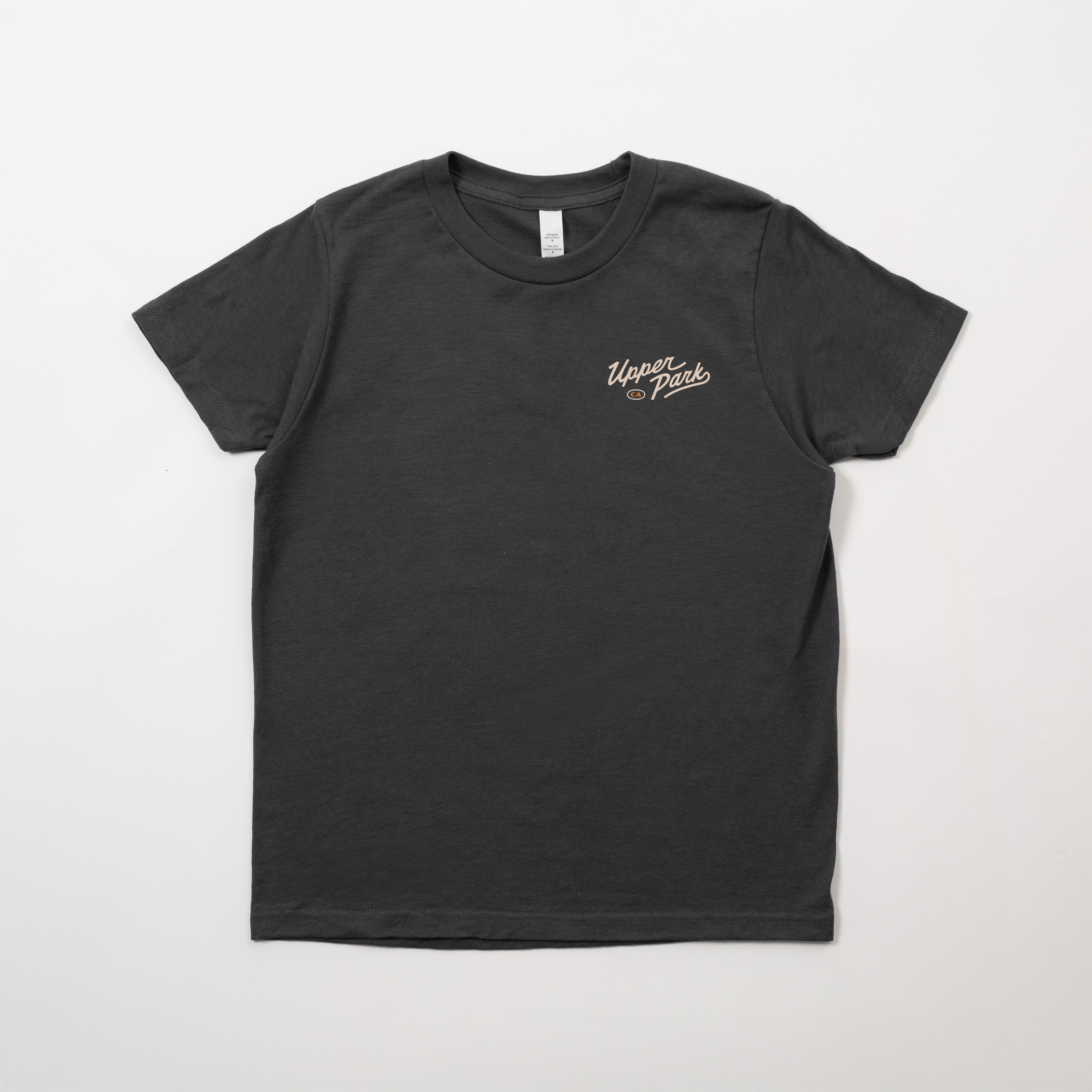 Black t-shirt with a logo on the chest against a white background - Mountain Lion Youth Shirt