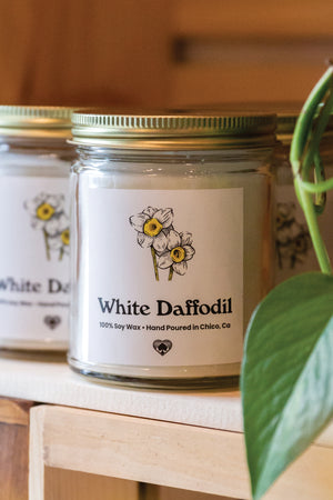 White Daffodil smelling candle picture from Upper Park Clothing