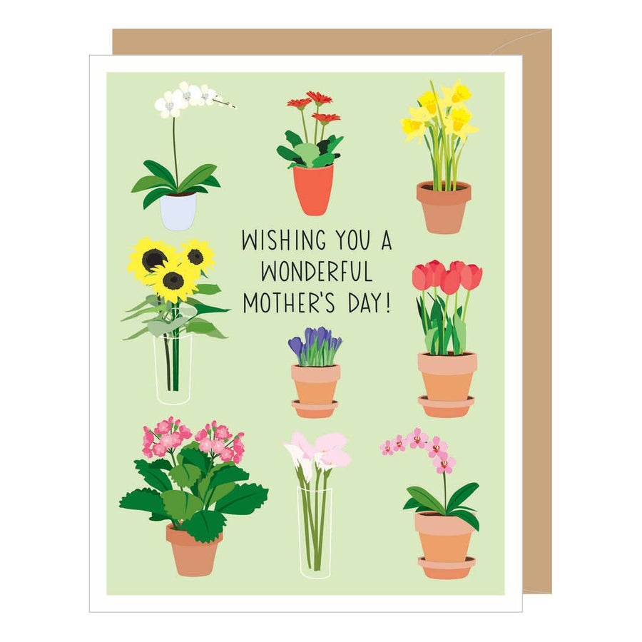 Apartment 2 Cards - Potted Flowers Mother's Day Card