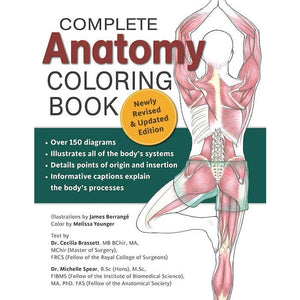 Wellspring - Coloring Book - Anatomy