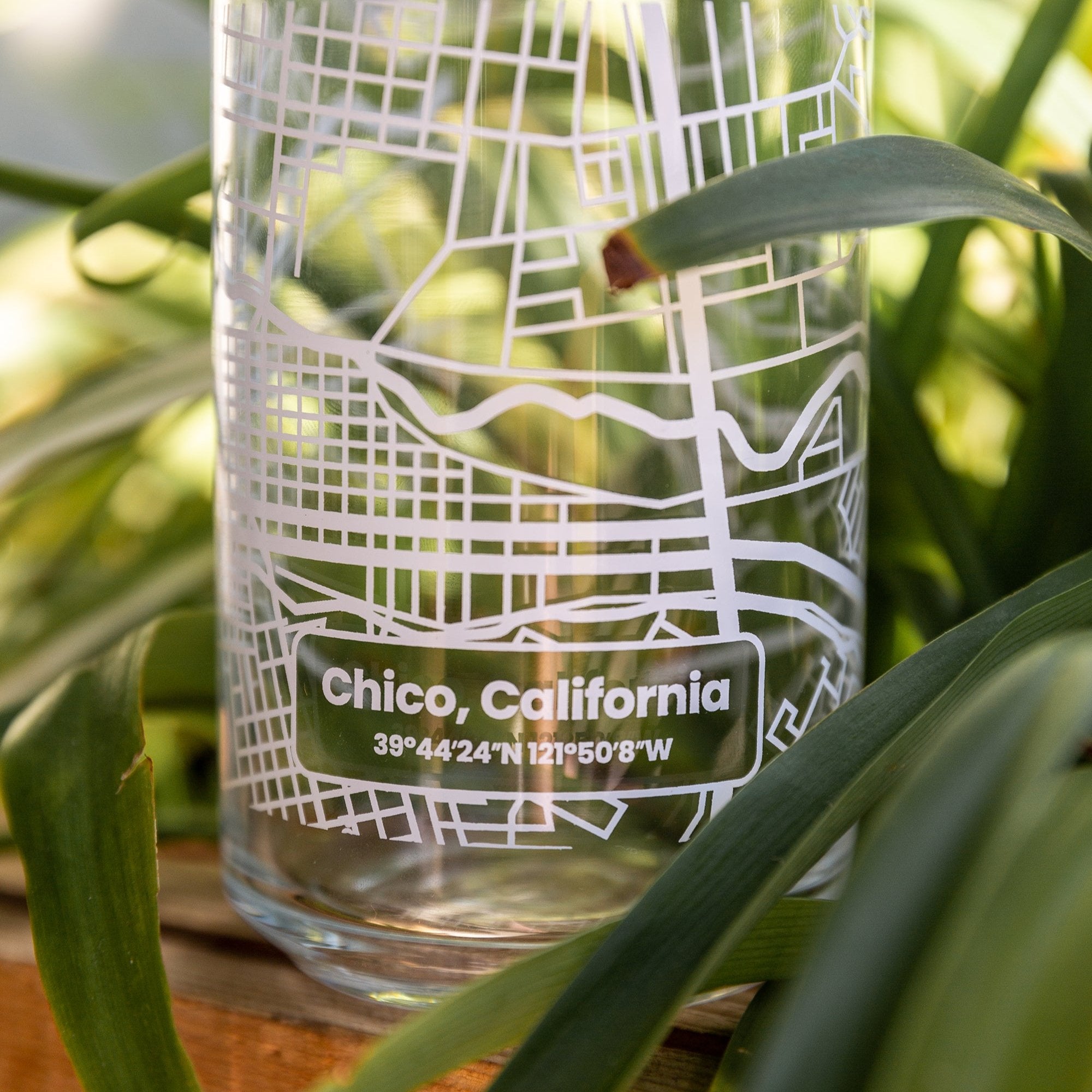 Chico Map Beer Can Glass from Upper Park Clothing in Chico, CA