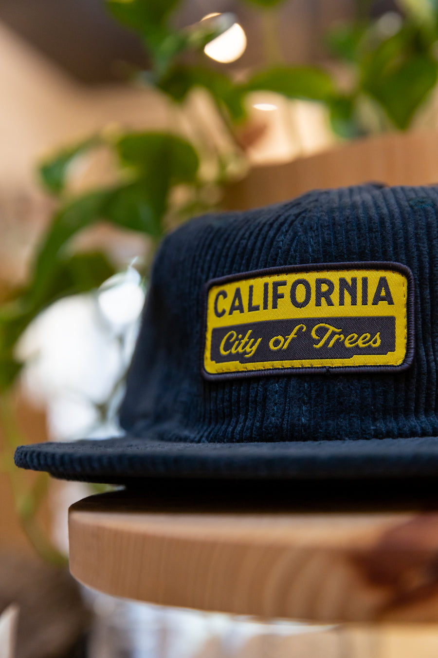 City of Trees California Cord Cap
