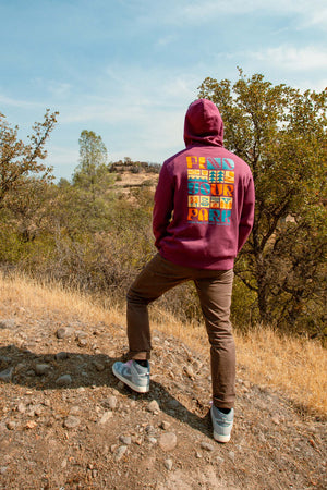 Find Your Park Tonal Hoodie