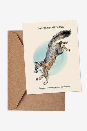 Grey Fox Greeting Card
