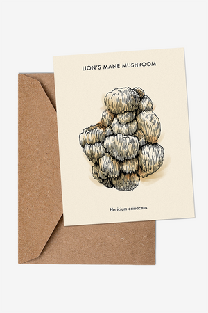 Lion's Mane Mushroom Greeting Card