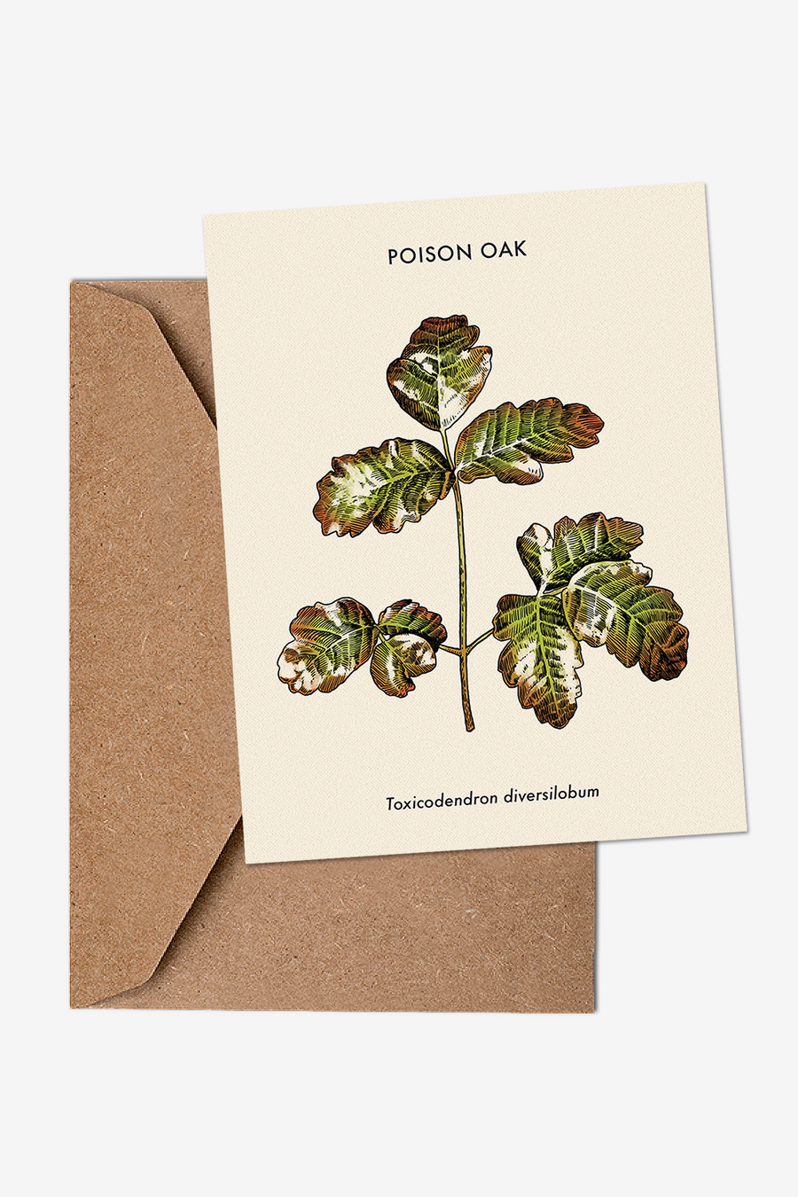 Poison Oak Greeting Card