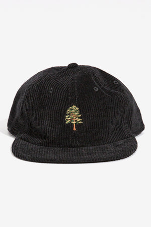 Ponderosa Pine Tree Cord Cap
